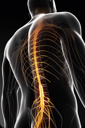 VitaMotion
Get Back & Joint Relief FAST
